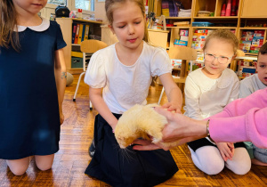 Zdjęcie 1 na 23
