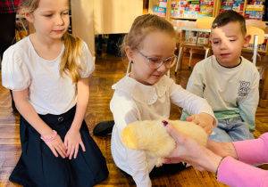 Zdjęcie 7 na 23