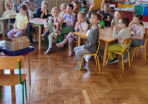dzieci uczą się ciekawostek o mrówkach