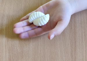 dzieci uczą się ciekawostek o mrówkach