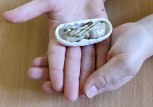 dzieci uczą się ciekawostek o mrówkach