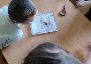 dzieci uczą się ciekawostek o mrówkach