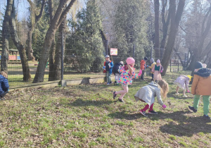 Sprzątanie świata