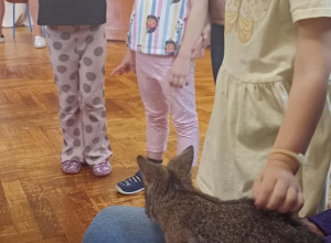 Odlotowe lekcje przyrody