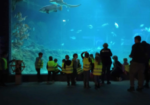 Wycieczka do Orientarium