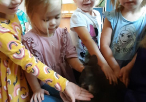 dzieci głaszczą kangura
