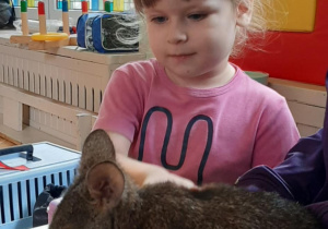 dziewczynka głaszcze kangura