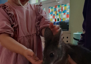 Dziewczynka głaszcze kangura