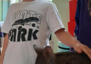 Chłopiec głaszcze kangura