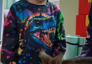 Chłopiec głaszcze kangura