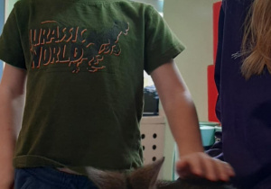 Chłopiec głaszcze kangura