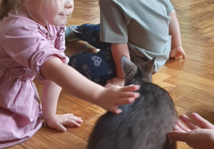 Dzieci głaszczą kangura