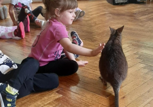 Dzieci głaszczą kangura