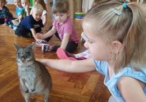 Dzieci głaszczą kangura