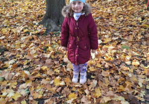 dziewczynka stoi wśród liści