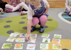 Owocowo- warzywne wyszukiwarki, ćwiczenia spostrzegawczości