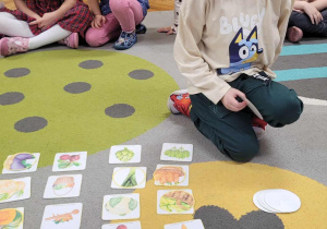 Owocowo- warzywne wyszukiwarki, ćwiczenia spostrzegawczości