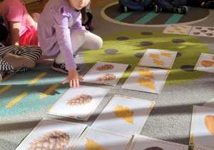 Jesienne zabawy edukacyjne