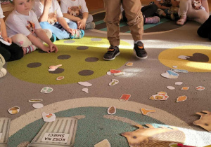 Dzieci segregują elementy