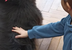 dzieci głaszczą psa