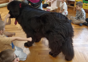 dzieci głaskają psa