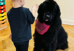 Zabawy edukacyjne z pieskiem