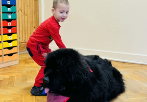 Zabawy edukacyjne z pieskiem