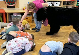 Zabawy edukacyjne z pieskiem