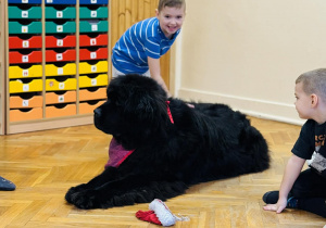 Zabawy edukacyjne z pieskiem