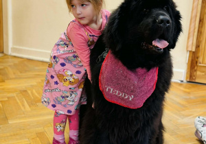 Zabawy edukacyjne z pieskiem