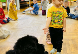 Zabawy edukacyjne z pieskiem