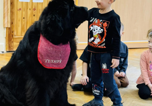 Zabawy edukacyjne z pieskiem