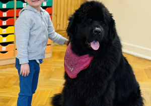 Zabawy edukacyjne z pieskiem