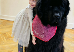 Zabawy edukacyjne z pieskiem