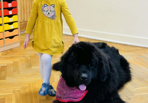 Zabawy edukacyjne z pieskiem