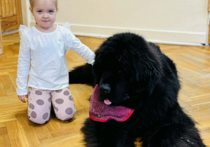 Zabawy edukacyjne z pieskiem