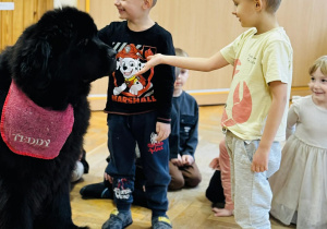 Zabawy edukacyjne z pieskiem