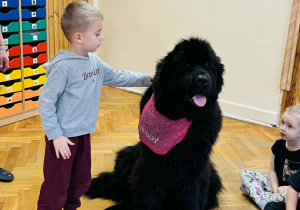 Zabawy edukacyjne z pieskiem