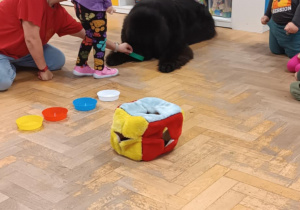 Dziecko głaszcze psa