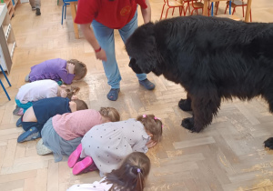 Dzieci ćwiczą z psem