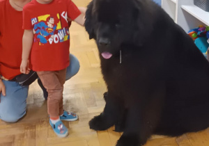 Dziecko głaszcze psa