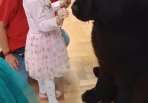 Dziecko głaszcze psa