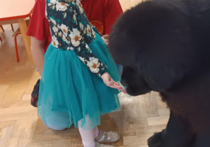 Dziecko głaszcze psa