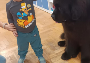 Dziecko głaszcze psa