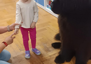 Dziecko głaszcze psa