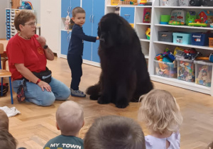 Dziecko głaszcze psa