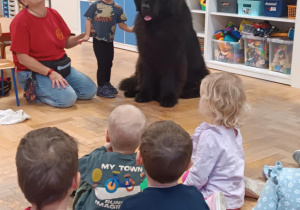 Dziecko głaszcze psa