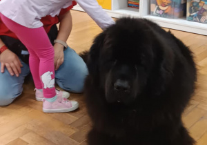 Dziecko głaszcze psa