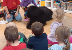 Dziecko głaszcze psa