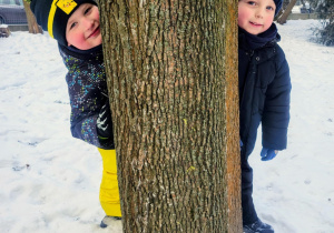 dzieeci wyglądają zza drzewa